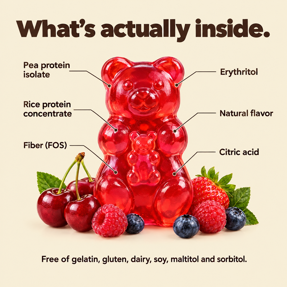 Bearly Protein Gummies (One-time)